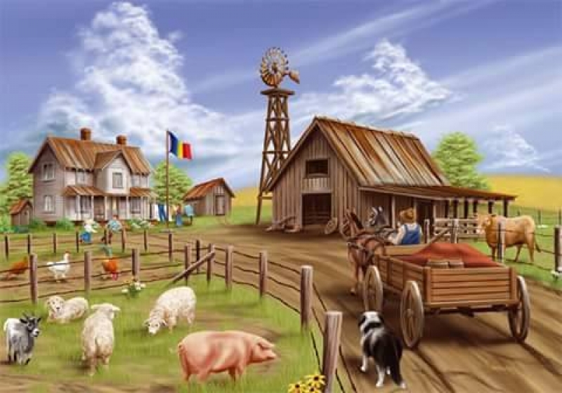 Regulile de întreţinere a animalelor, păsărilor și amplasarea stupinelor în proprietatea privată a gospodăriilor din satul Răuțel